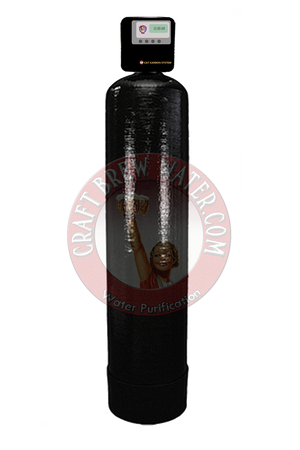 1 1/4 Carbon Filtration System
