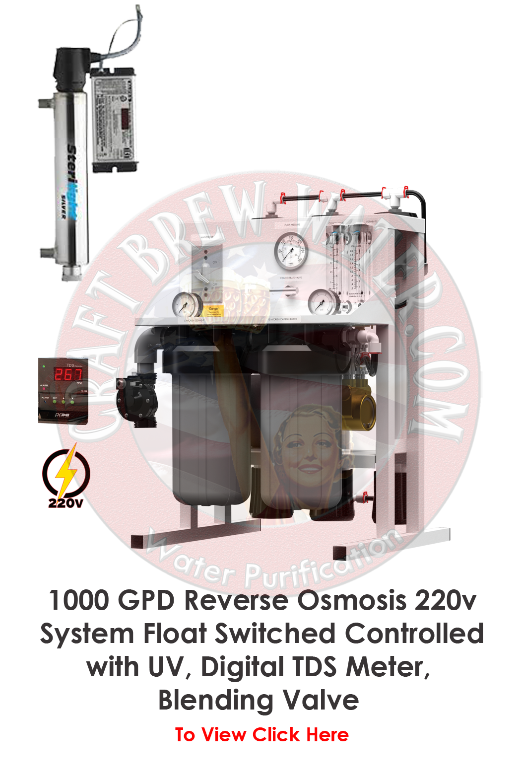 Craft Brew 1000 220v Float Switch Controlled Brewing System