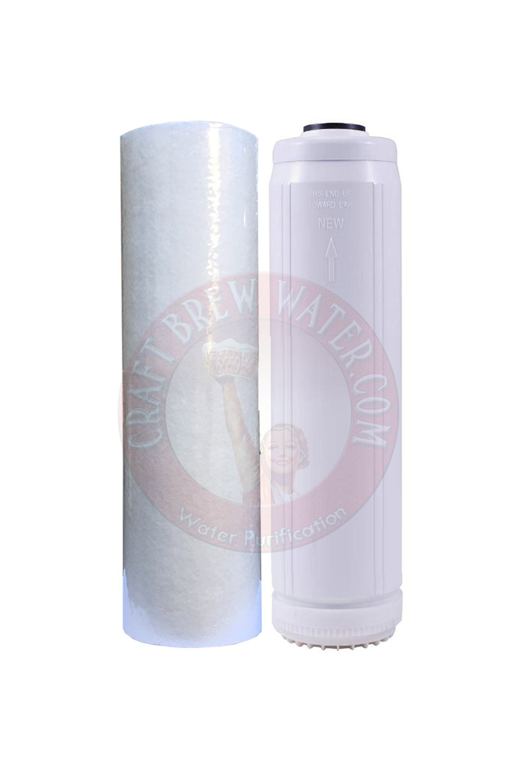 2.5" X 10" 25/5 Micron Melt-Blown Filter and 2.5" X 10" Cat Carbon Set for Chloramine removal