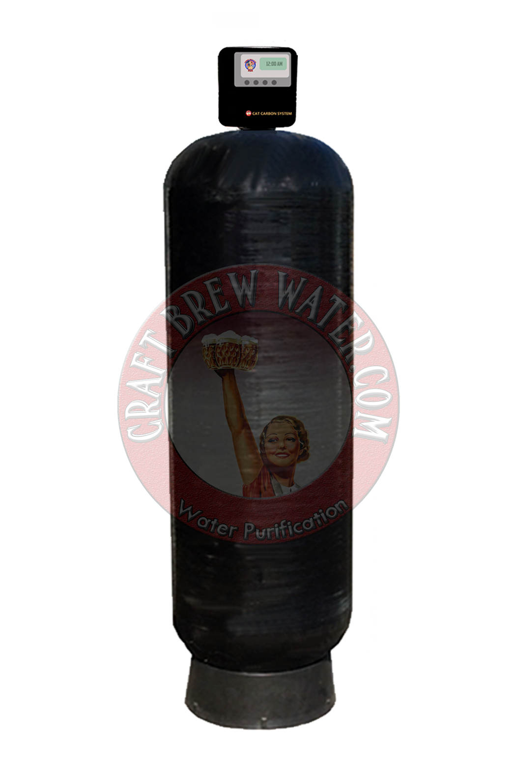 1 1/4 x 6cf Cat Carbon System