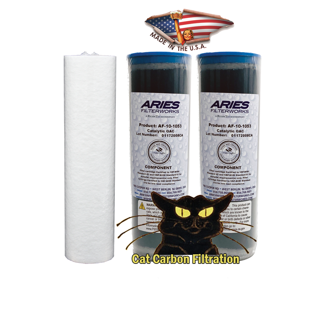 2.5 x 10" Cat Carbon Filter Set